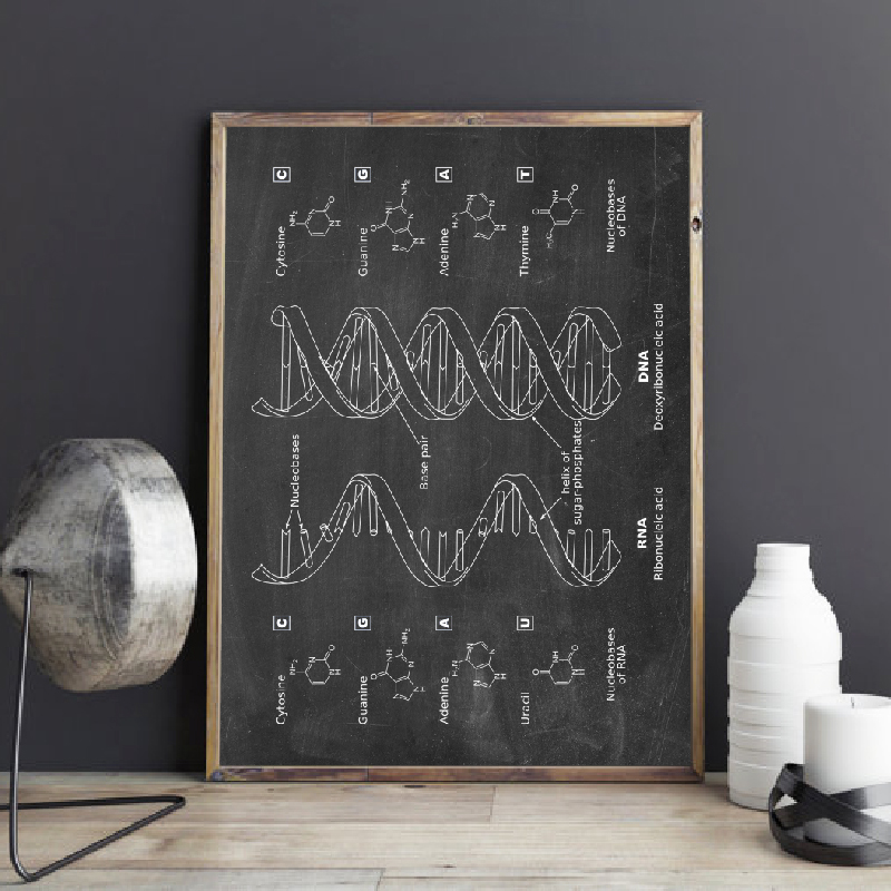 Star Map Poster - الحمض النووي براءات جدار الفن الوراثة